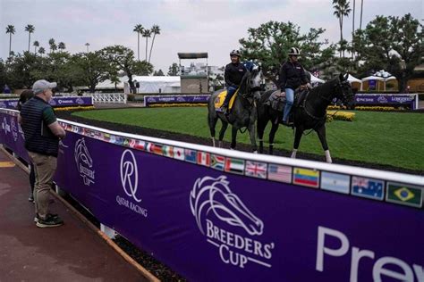 2023 Japan Cup Tips, Betting Predictions & Odds.